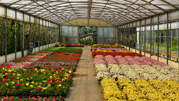 Labeling Plant and Nursery Products