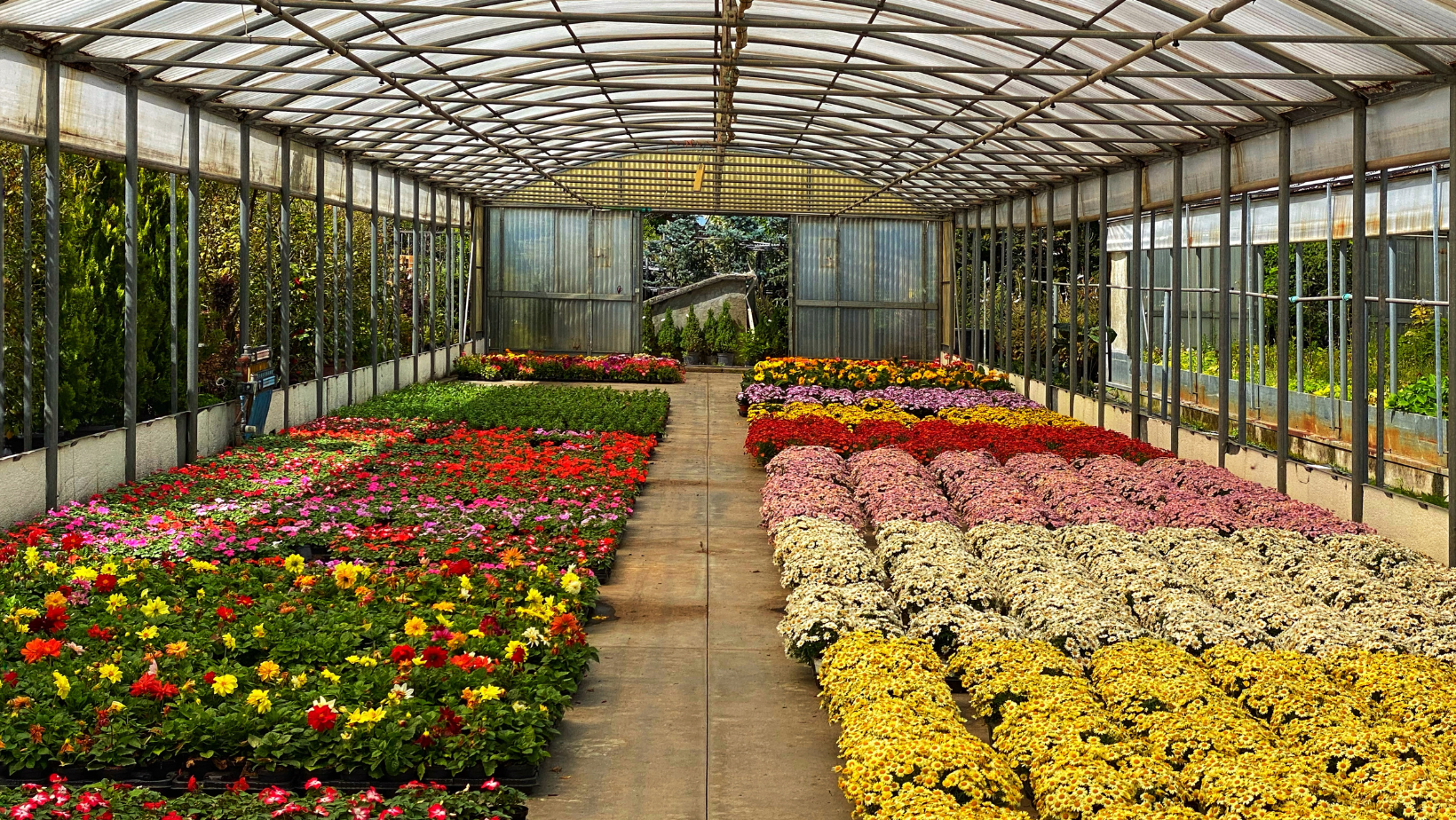 Labeling Plant and Nursery Products
